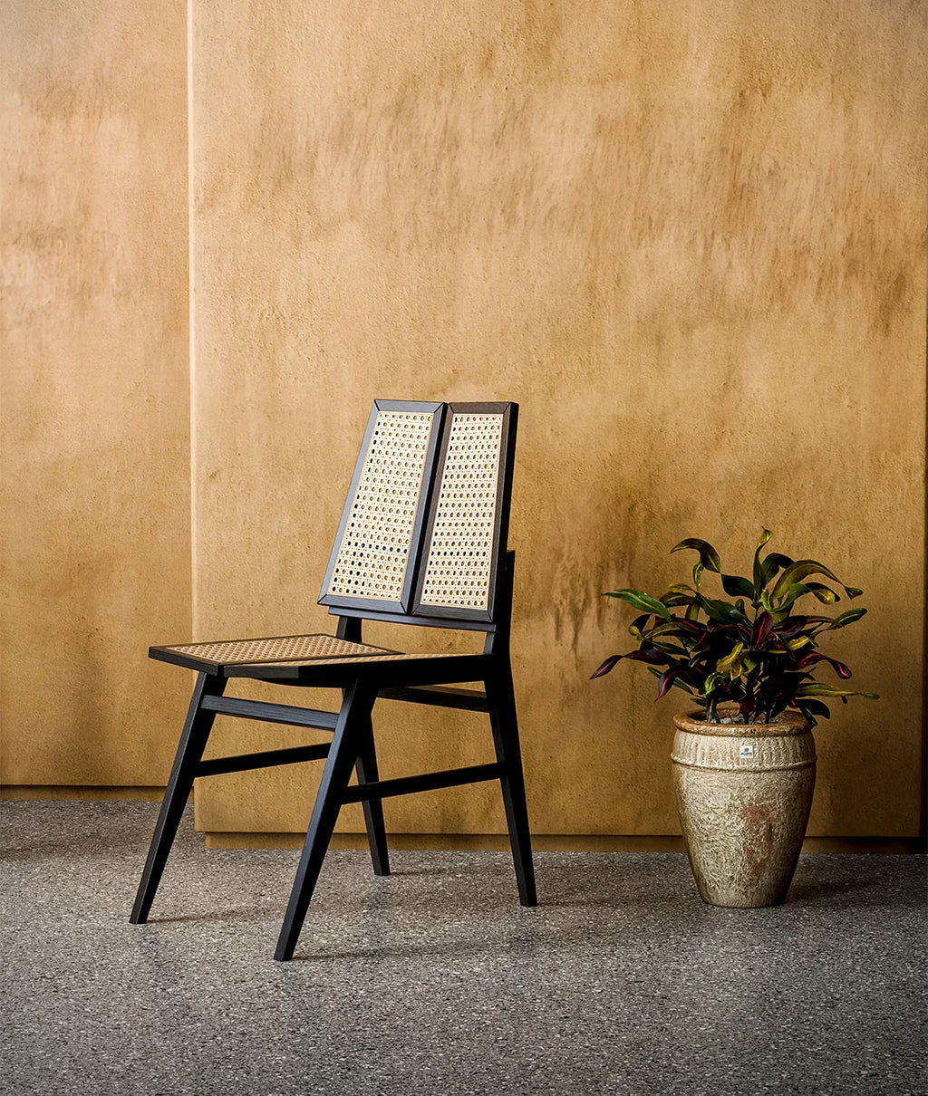 The Elio Dining Chair