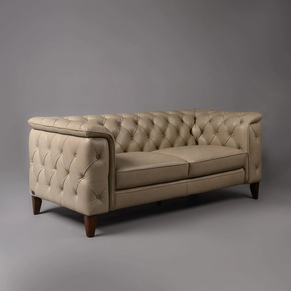 Monteluce Chester Sofa – Cashmere Beige (Two Seater) – Marwar Handicraft, view 2 of 5