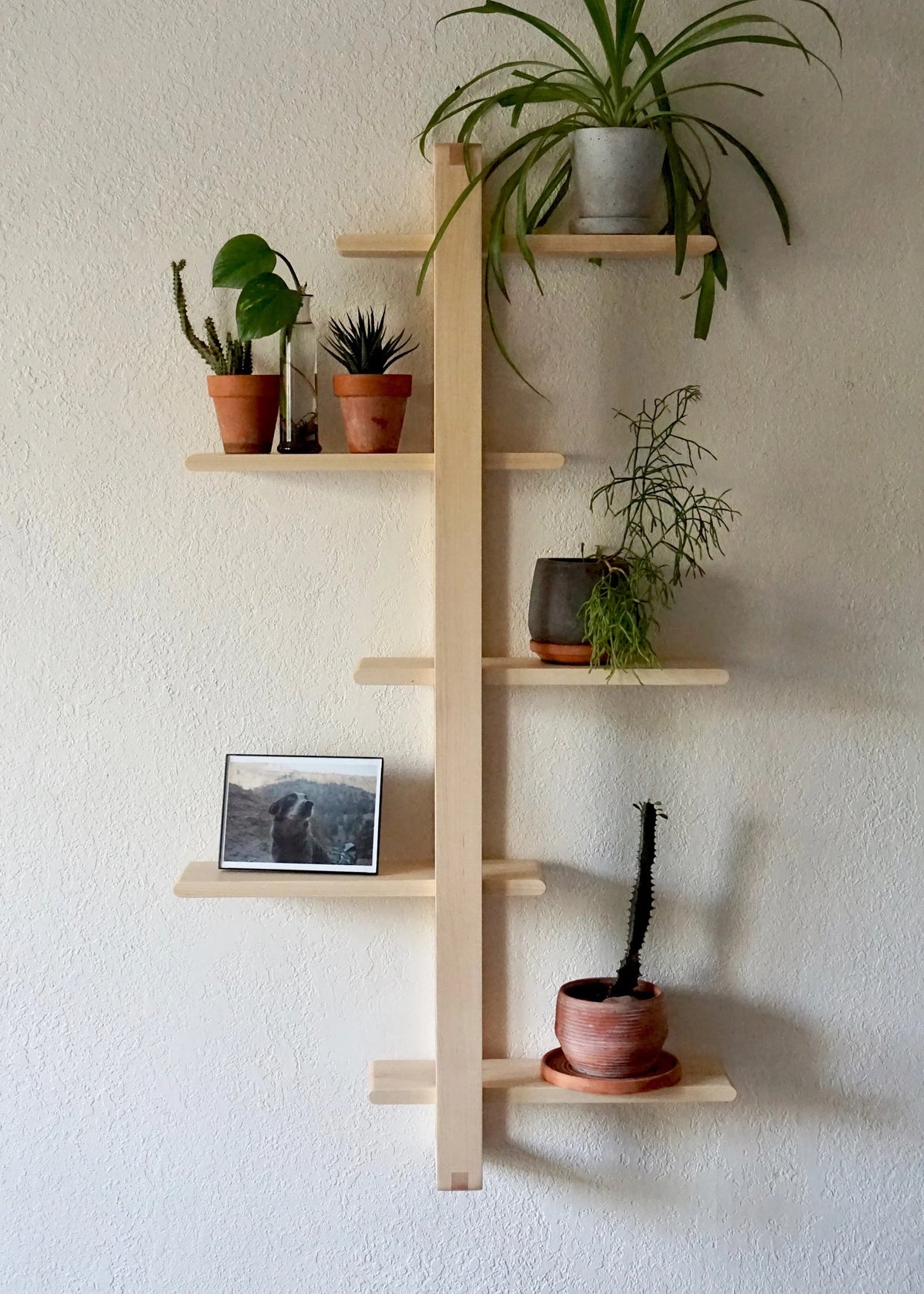Glenwick Classic Wall Rack