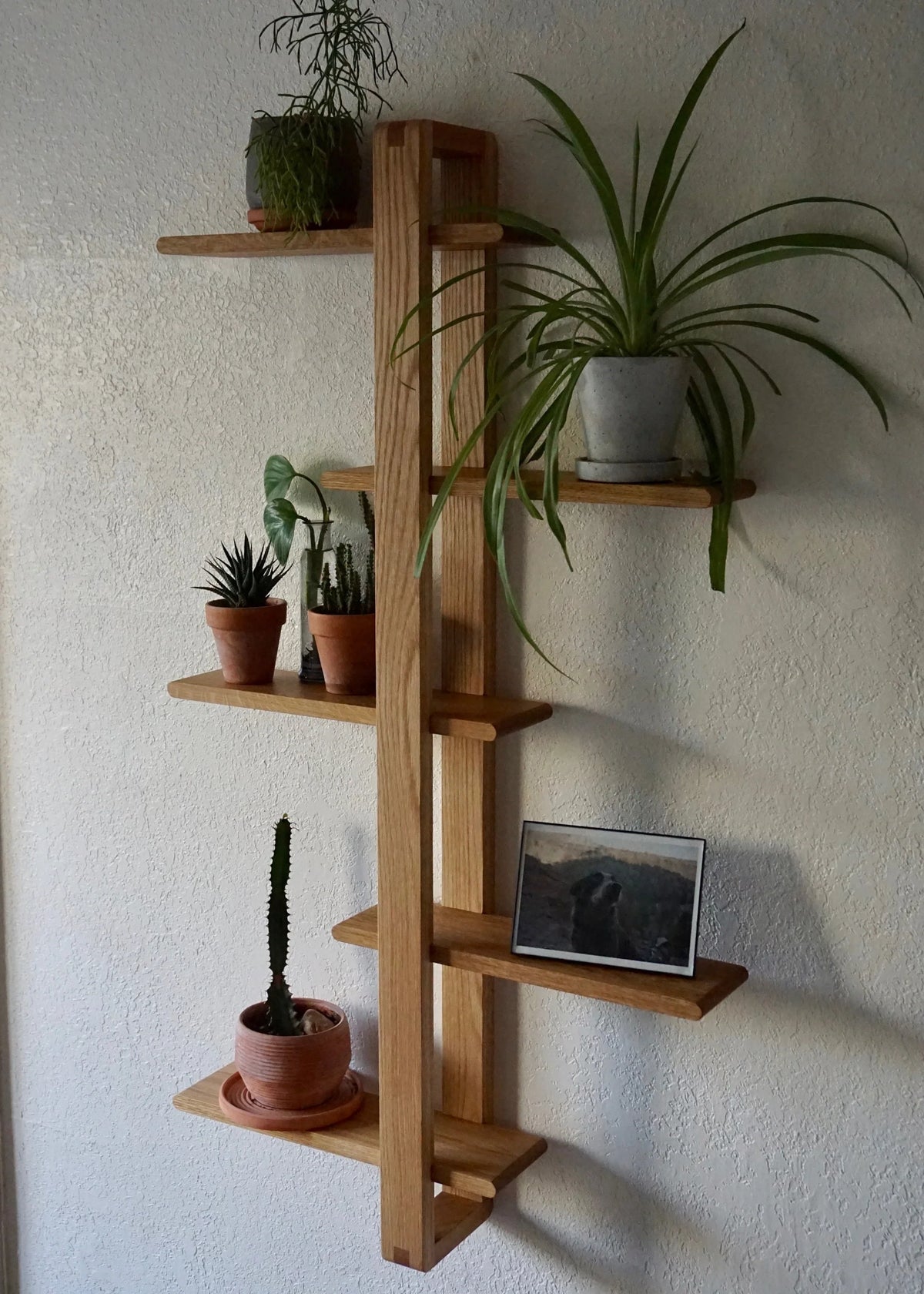 Glenwick Classic Wall Rack