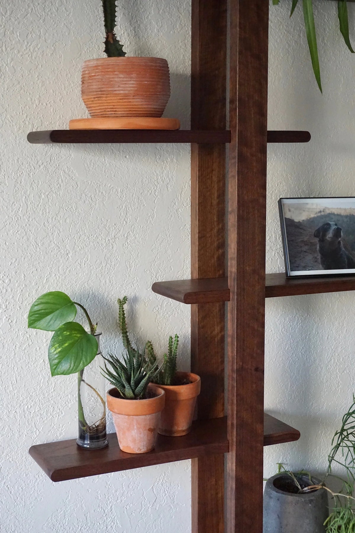 Glenwick Classic Wall Rack