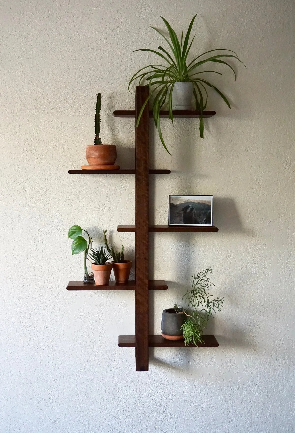Glenwick Classic Wall Rack