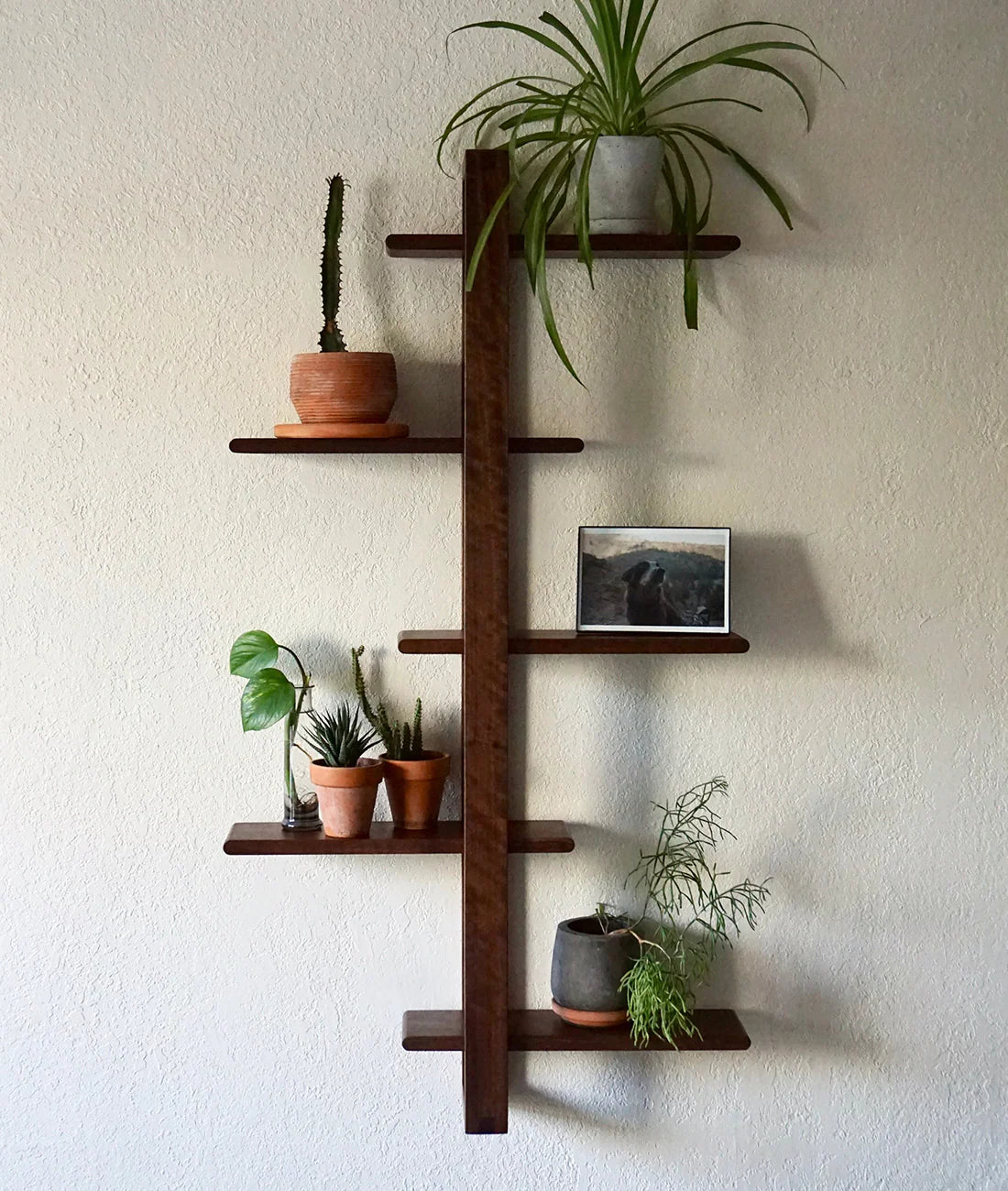 Glenwick Classic Wall Rack